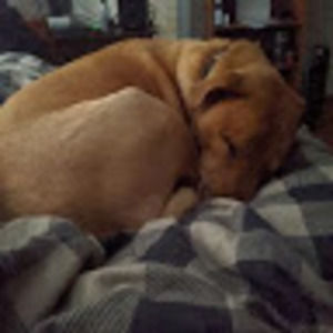 Meet your Posher, William